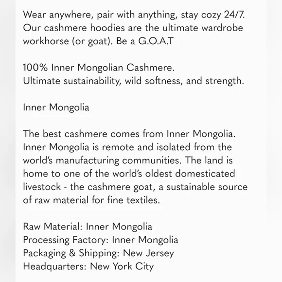 🌟SEE NEW LISTING🌟 🐪 "The State" Cashmere Hoodie in Camel - Picture 9 of 12